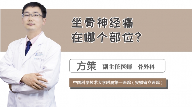 坐骨神經痛在哪個部位？
